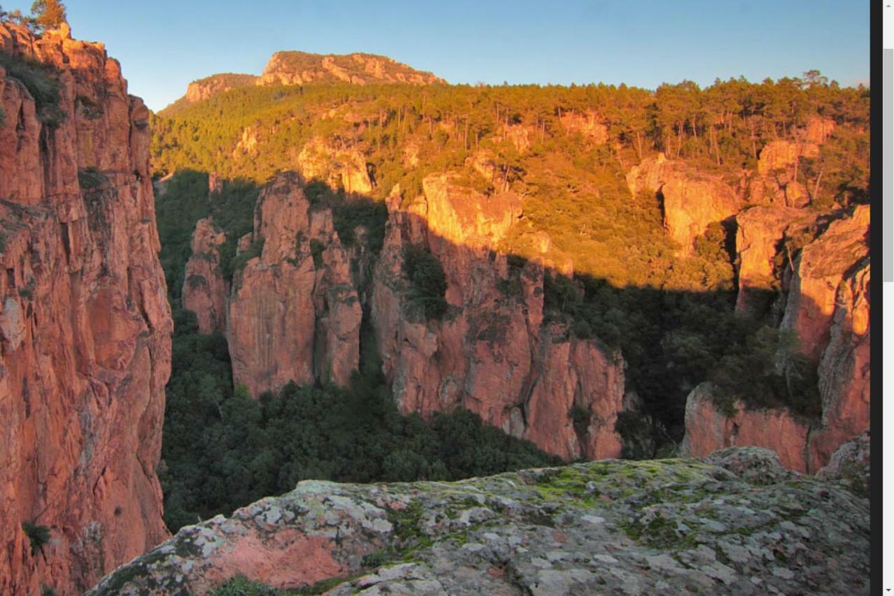 Entre Mer Et Esterel Roquebrune-sur-Argens Exterior foto